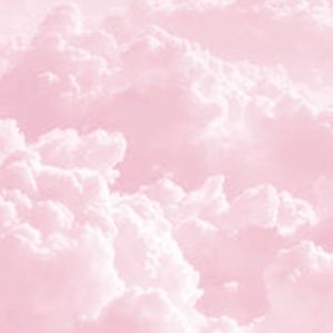 Meet your Posher, Karla